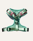 Chest Harness - One In A Melon