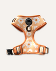 Chest Harness - My Little Petal