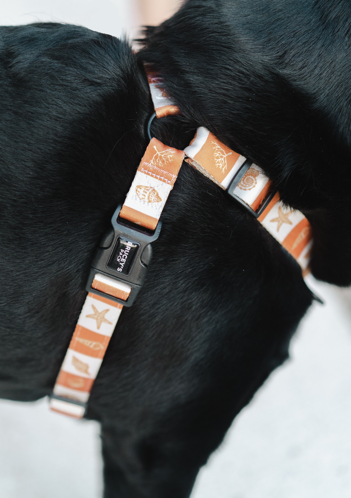 No Pull Strap Harness - Seaside