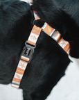 No Pull Strap Harness - Seaside