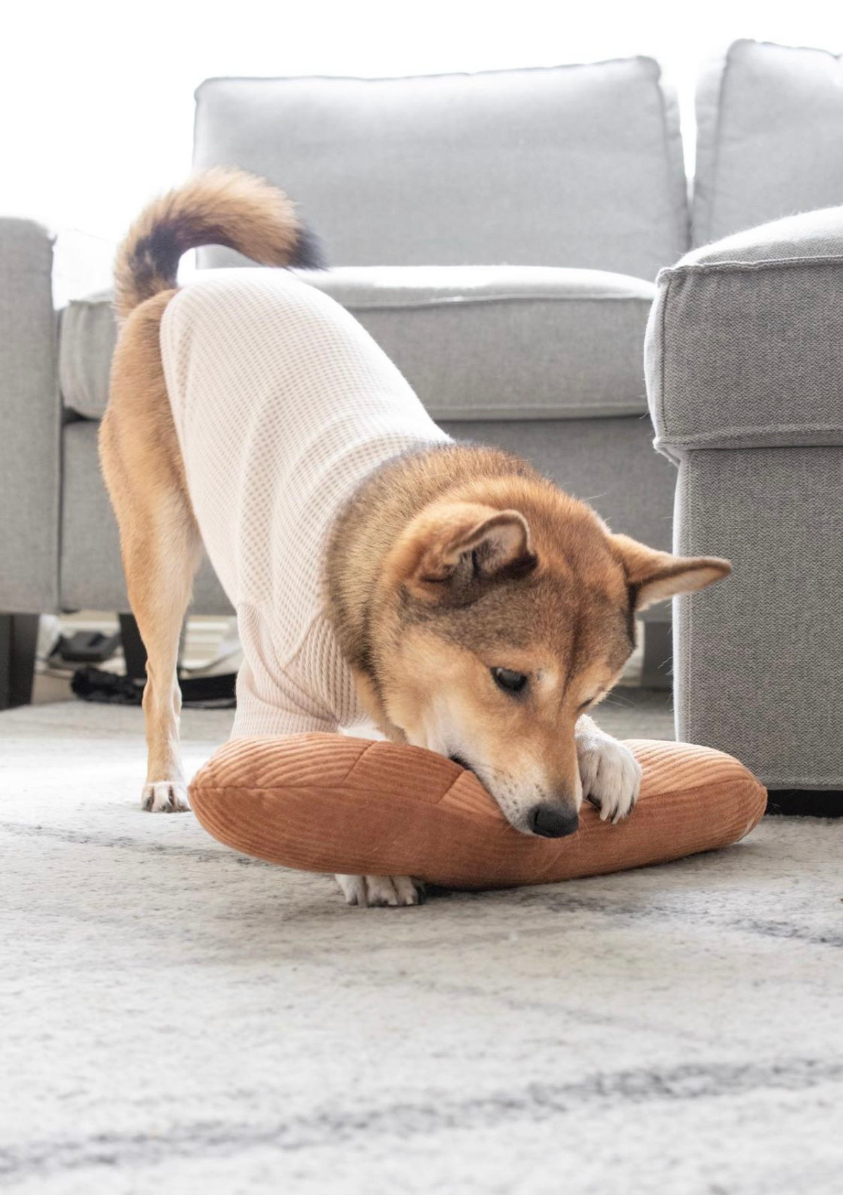 Oversized Baguette