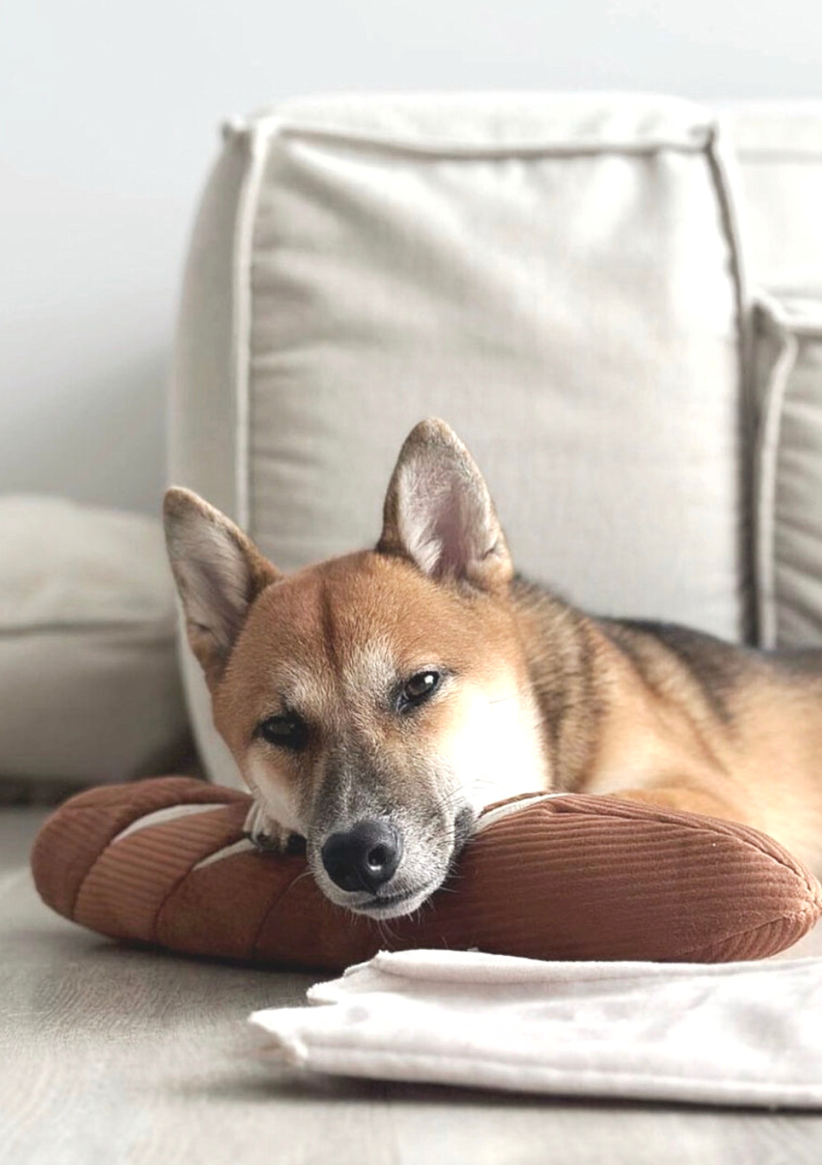 Oversized Baguette