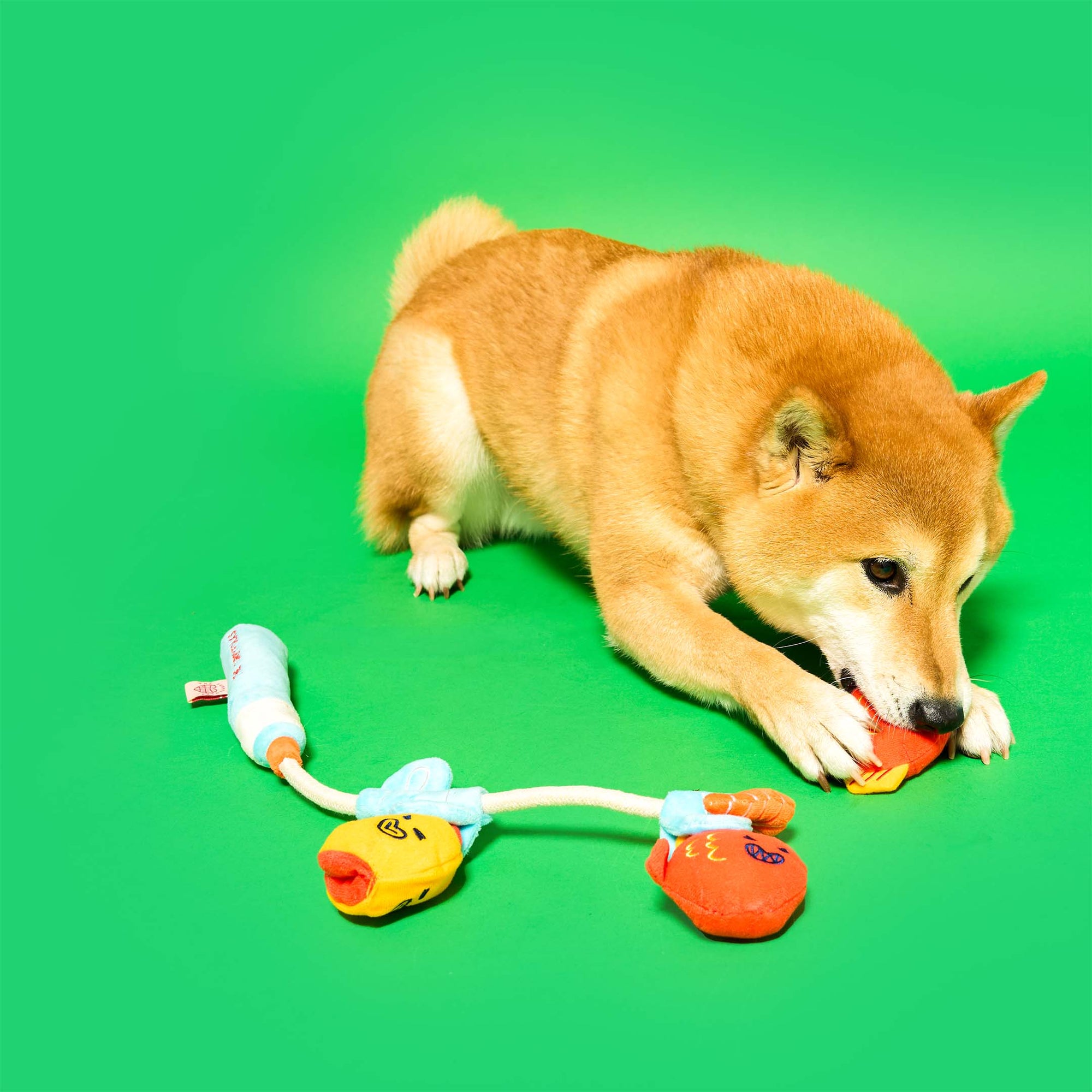 Fishing Nosework &amp; Tug Toy