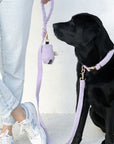 Bella Collar - Lavender