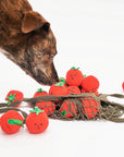 Cherry Tomato Nose Work & Tug Toy