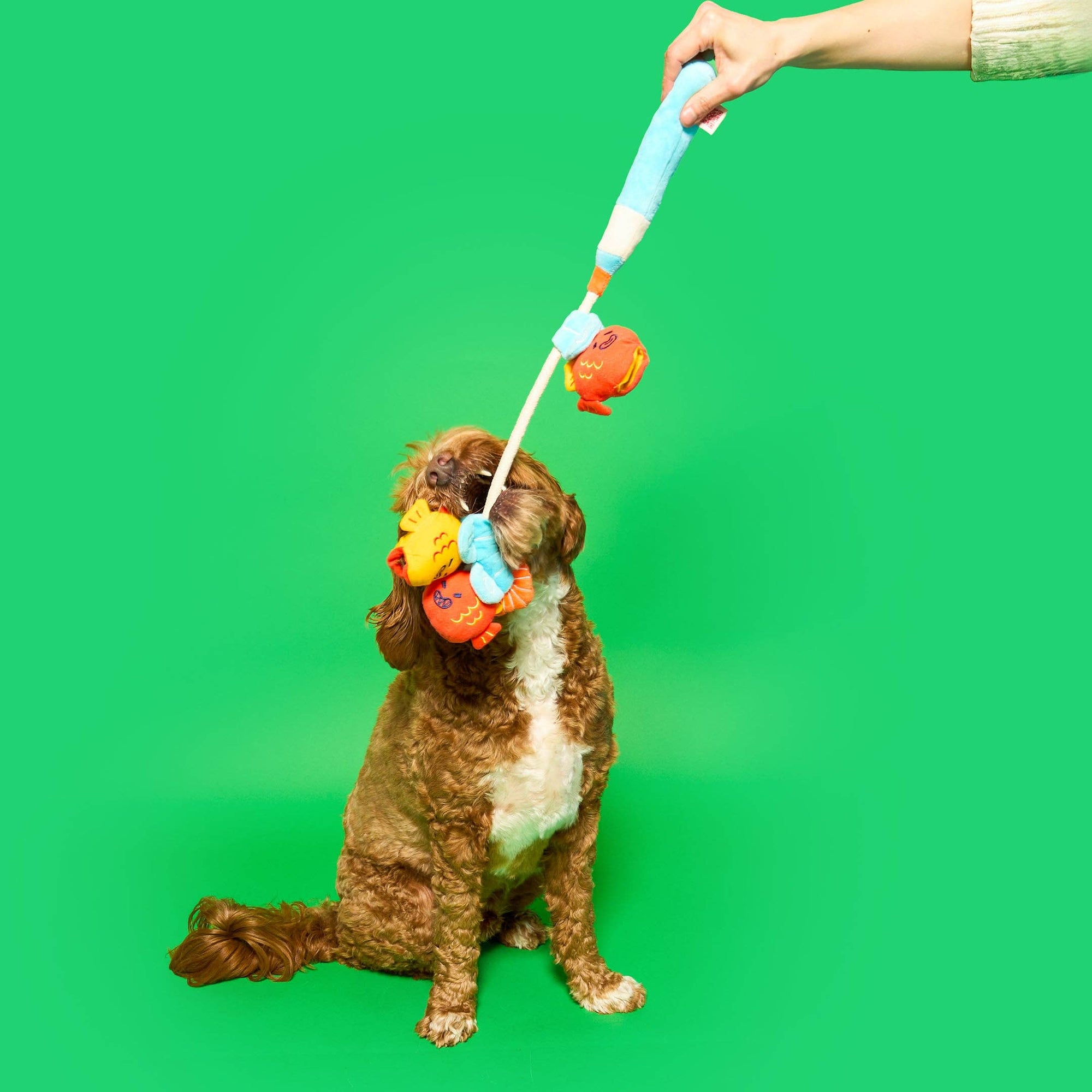 Fishing Nosework &amp; Tug Toy