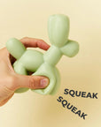 Balloon Squeaky Toy