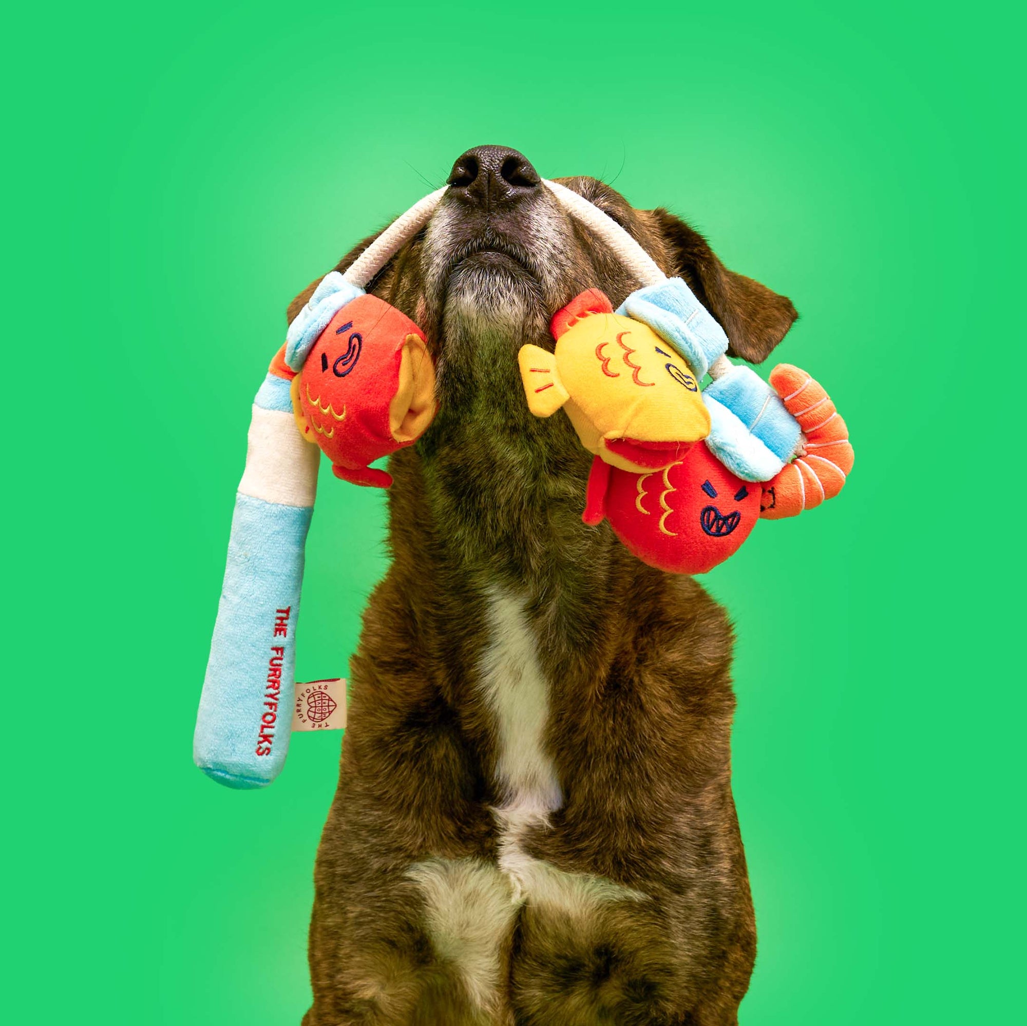 Fishing Nosework &amp; Tug Toy