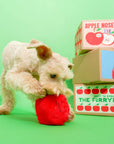 Apple Nosework Toy