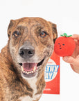 Cherry Tomato Nose Work & Tug Toy