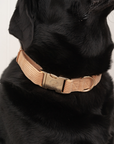 Bella Cord Collar: Mango