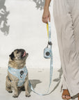 Cooly: Adjustable Harness