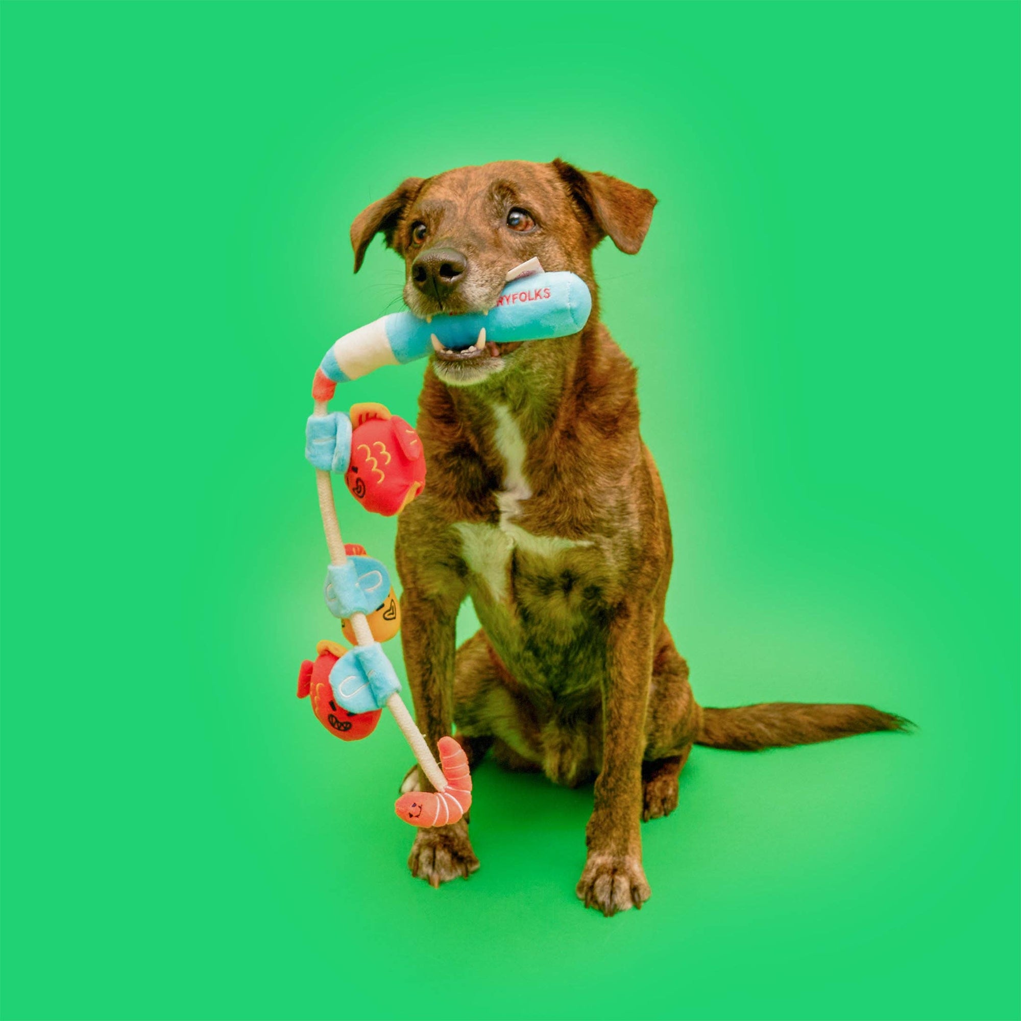 Fishing Nosework &amp; Tug Toy