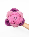 Red Cabbage Nose Work Toy