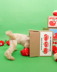 Apple Nosework Toy