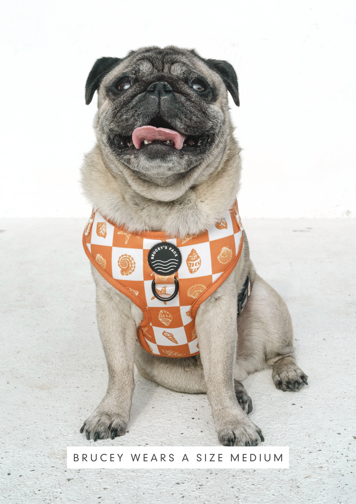 Chest Harness Walk Set - Seaside