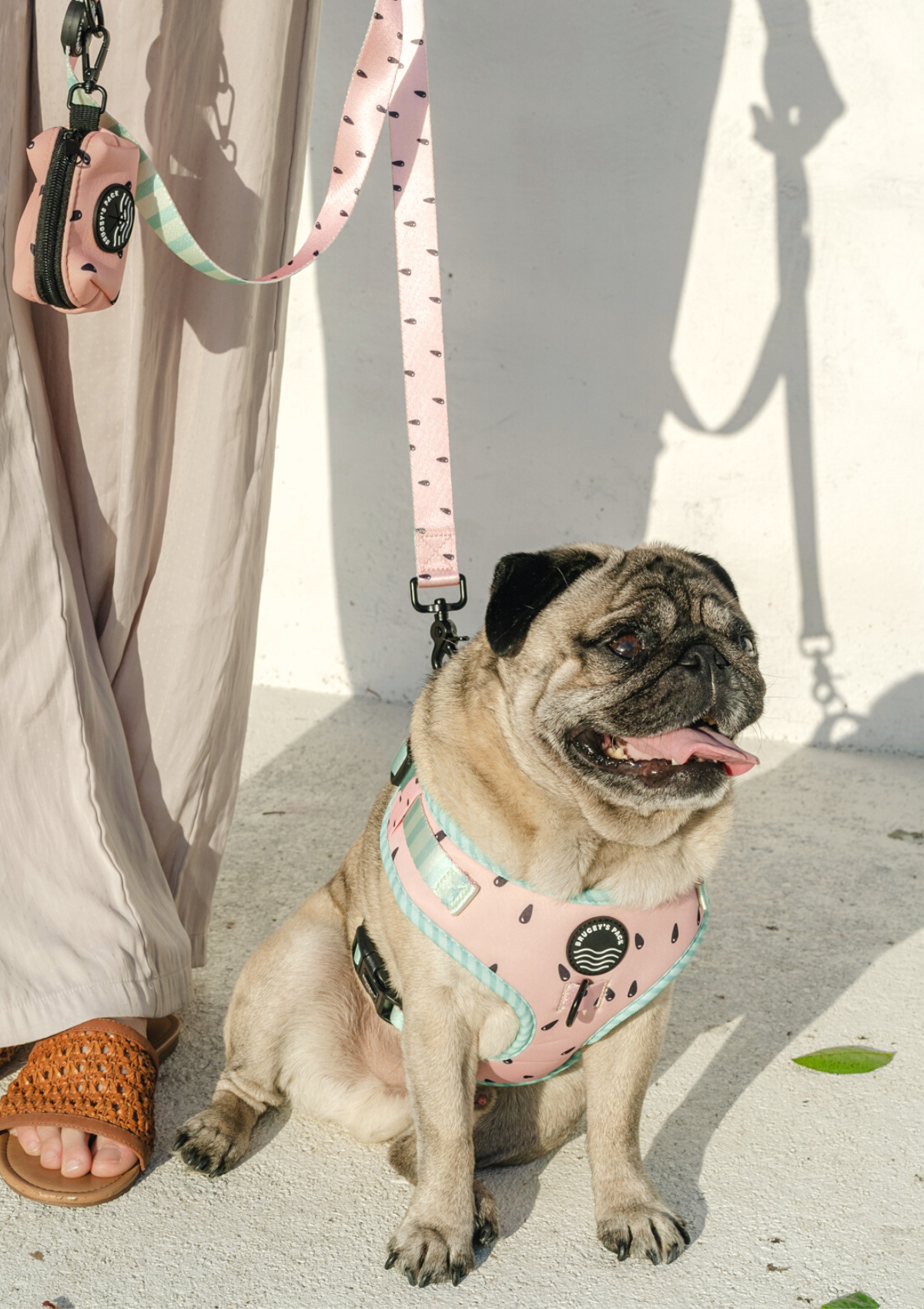 Chest Harness - One In A Melon