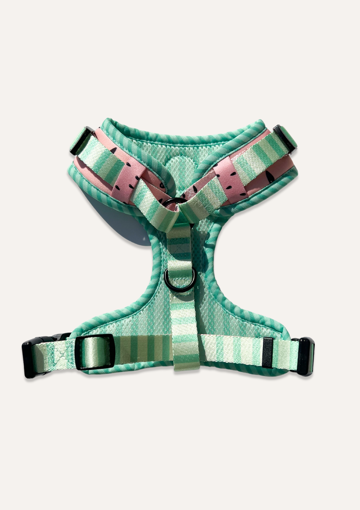 Chest Harness - One In A Melon